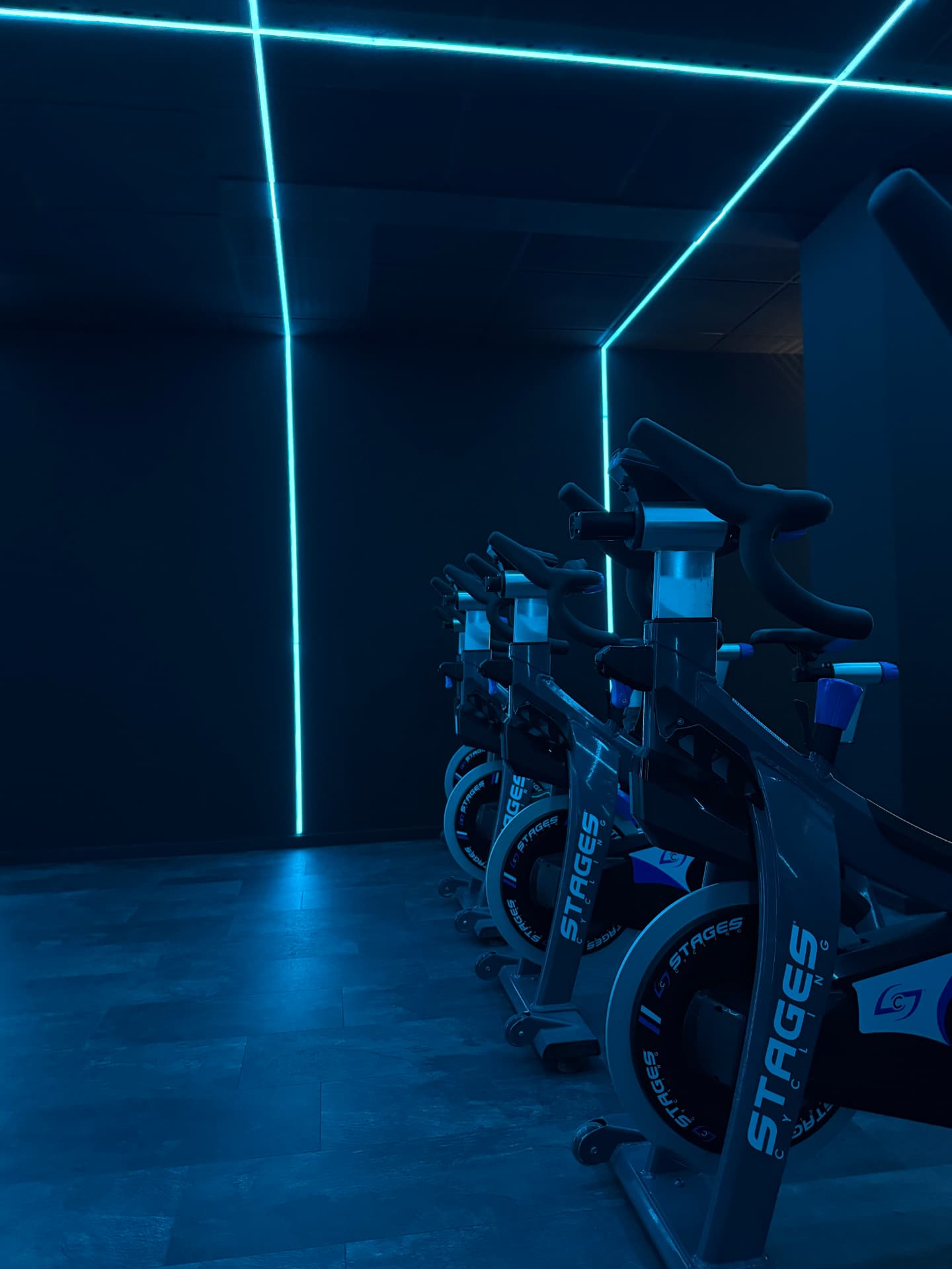 Premium Indoor Cycling Bike