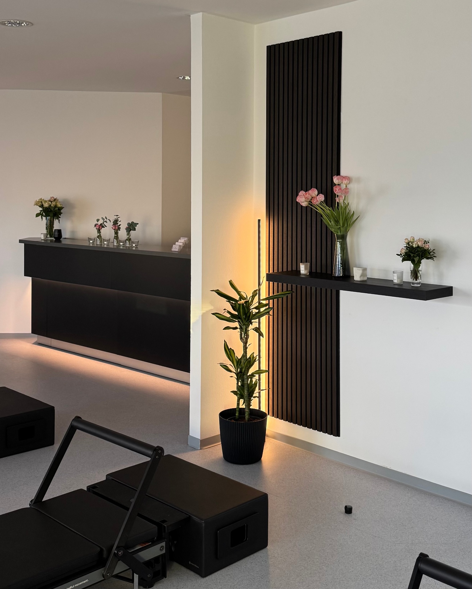 PURE-A Studio Detmold — Empfang & Wohlfühlatmosphäre